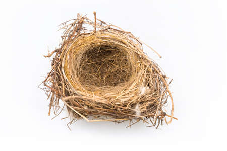 natural bird nest isolated on white backgroundの写真素材