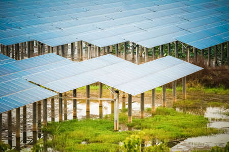 solar power in swamp , clean energy closeup