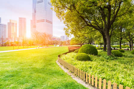 city park in shanghai ,  lujiazui central greenland in sunlit meadows.の写真素材