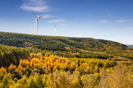 wind farm with forest in autumn against a sunny skyの写真素材