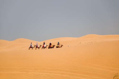 desert dunes background with camels caravan ridingの写真素材