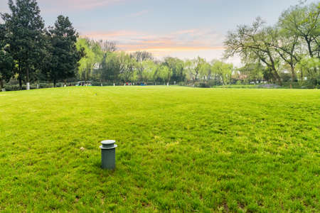 green lawn beside the west lake in spring, beautiful hangzhou scenery at duskの写真素材