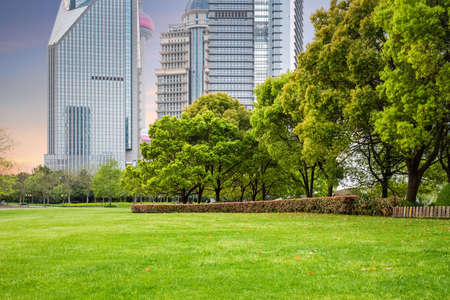 city park with modern office building background iat duskの写真素材