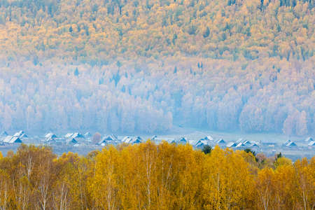 beautiful villages in the forest in autumn, xinjiang, Chinaの写真素材