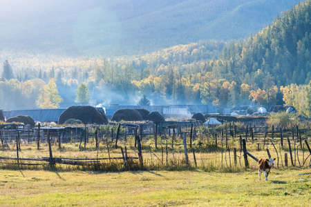beautiful baihaba villages in the morning, xinjiang kanas landscape, China