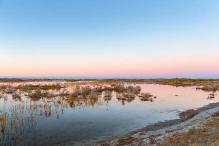 saline and alkaline land in autumn dusk, beautiful natural colors on wildernessの写真素材