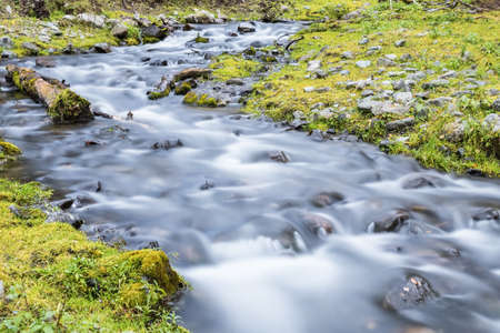 Creek   in  forestの写真素材