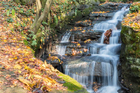 stream and fallen leaves in autumn, lushan mountain landscape, jiangxi province, Chinaの写真素材