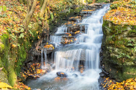 autumn landscape on lushan mountain, closeup of the stream and fallen leaves, jiangxi province, Chinaの写真素材