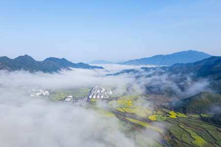 beautiful spring landscape, rapeseed flower blooming with misty idyllic scene, wuyuan county, jiangxi province, Chinaの写真素材