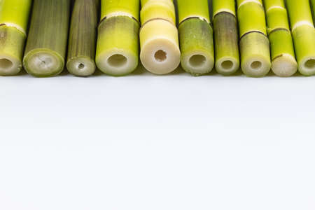 fresh little bamboo shoots isolated on white backgroundの写真素材