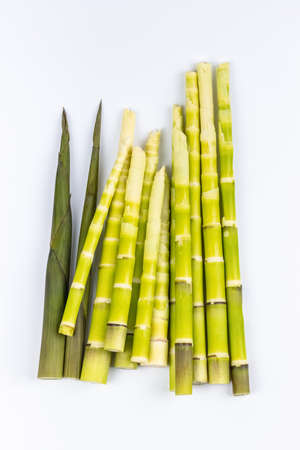 fresh little bamboo shoots isolated on white backgroundの写真素材
