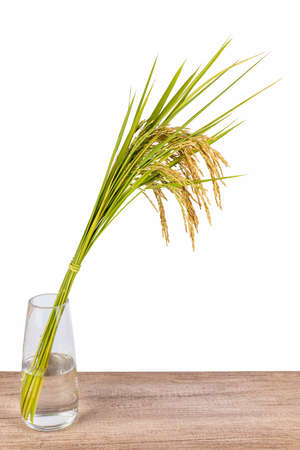 ears of rice in glass vase on board isolated on white backgroundの写真素材