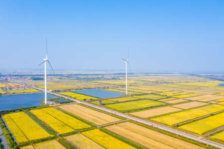 autumn paddy fields and wind turbines, new energy in rural areaの写真素材