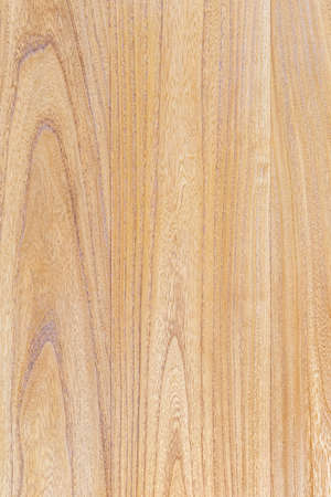 old elm plank texture backgroundの写真素材