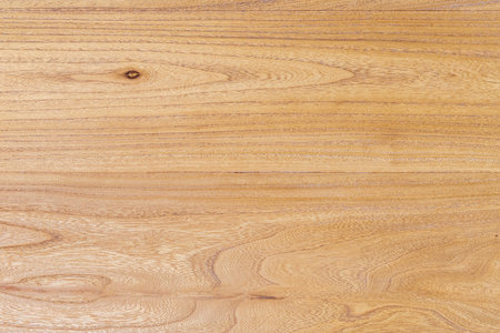 old elm plank texture backgroundの写真素材