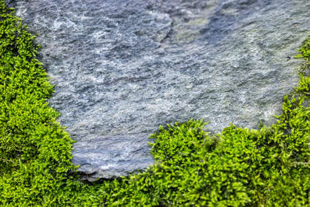 moss background on rocks, natural frameの写真素材