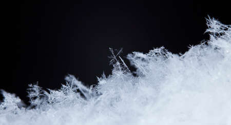 natural snowflakes on snow, photo real snowflakes during a snowfall, under natural conditions at low...