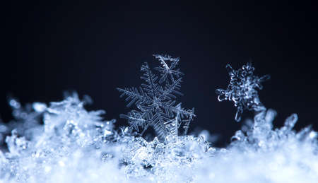 natural snowflakes on snow, photo real snowflakes during a snowfall, under natural conditions at low temperatureの写真素材