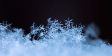 natural snowflakes on snow, photo real snowflakes during a snowfall, under natural conditions at low temperatureの写真素材