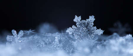 natural snowflakes on snow, photo real snowflakes during a snowfall, under natural conditions at low temperatureの写真素材