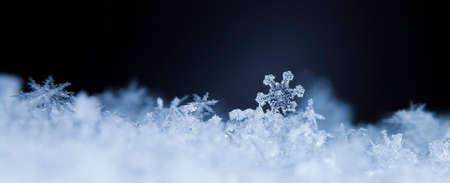 natural snowflakes on snow, photo real snowflakes during a snowfall, under natural conditions at low temperatureの写真素材