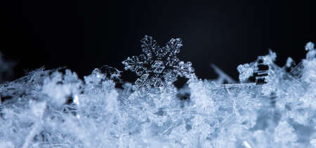 natural snowflakes on snow, photo real snowflakes during a snowfall, under natural conditions at low temperatureの写真素材