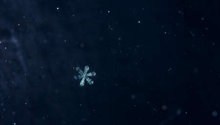 natural snowflakes