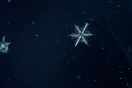 natural snowflakesの写真素材