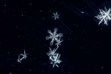 natural snowflakes