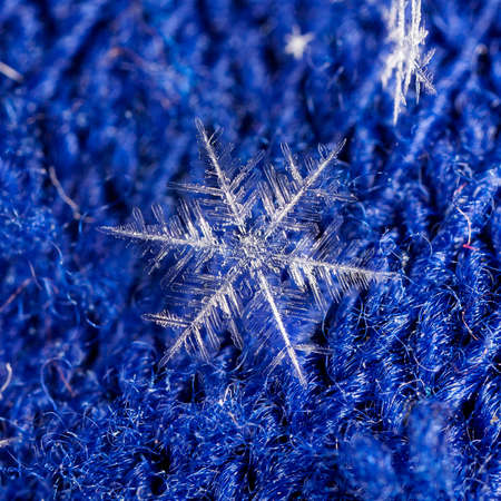 natural snowflakes on a knitted mittenの写真素材