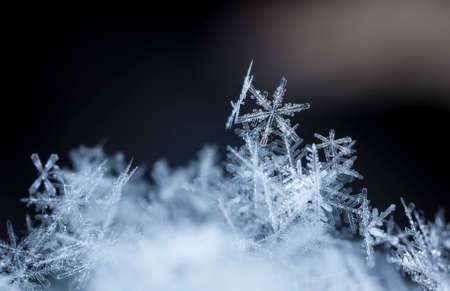 natural snowflakes on snowの写真素材