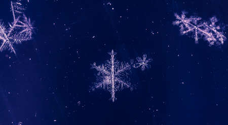 natural snowflakesの写真素材
