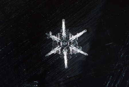 natural snowflakes, photo real snowflakes during a snowfall