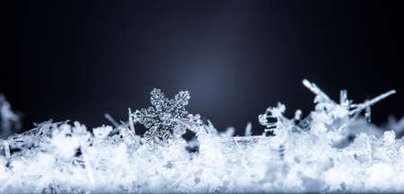 natural snowflakes on snowの写真素材