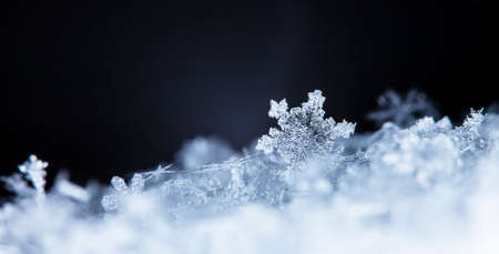 natural snowflakes on snowの写真素材