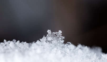 natural snowflakes on snowの写真素材