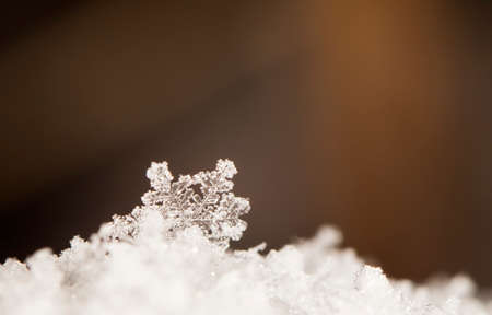 natural snowflakes on snowの写真素材