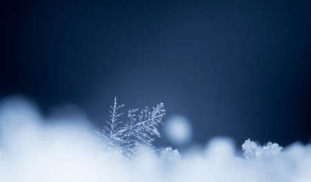 natural snowflakes on snowの写真素材