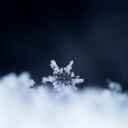 natural snowflakes on snowの写真素材