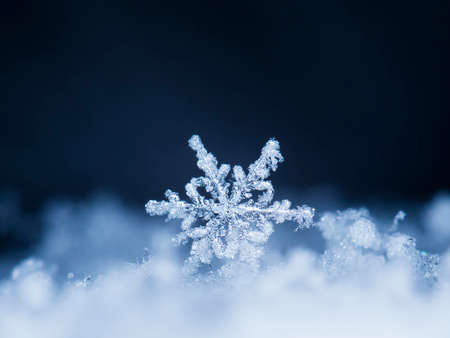 natural snowflakes on snowの写真素材