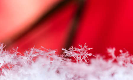 natural snowflakes on snowの写真素材