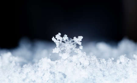 natural snowflakes on snowの写真素材