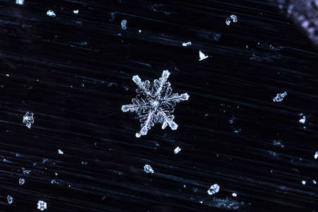 natural snowflakesの写真素材