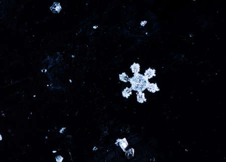 natural snowflakesの写真素材