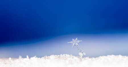 natural snowflakes on snowの写真素材