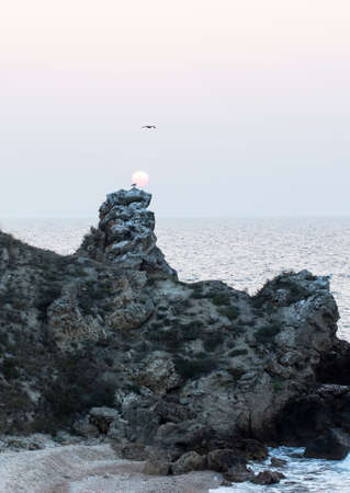 coast of the sea of ??Azovの写真素材