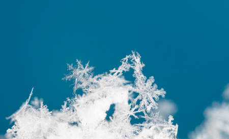 natural snowflakesの写真素材
