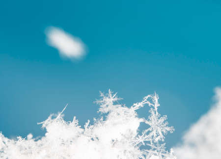 Natural real snowflakes during a snowfall.の写真素材