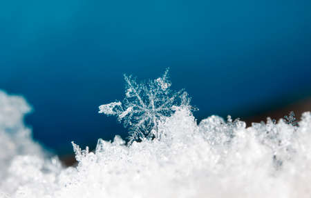 natural snowflakesの写真素材